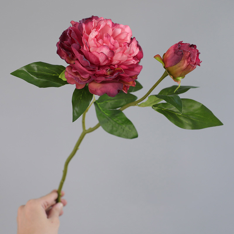 1 Buah Bunga Peony Simulasi Re - Photography Artificial Lighting ulasan dan harga